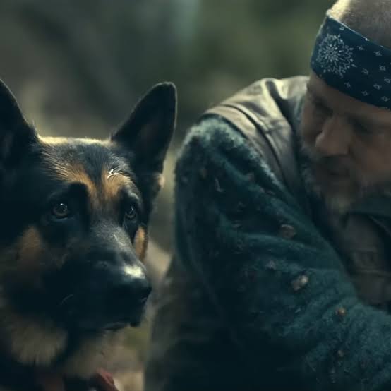 #Odinforwarriordogs